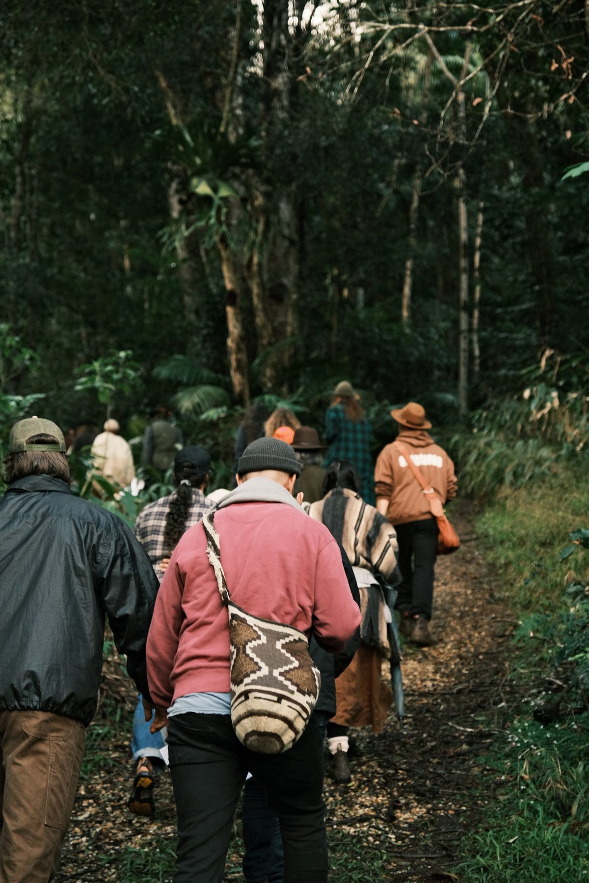 A line of people walking a rainforest trail, one carrying a woven mochila bag